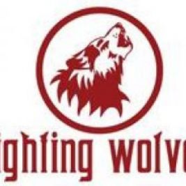 Fighting Wolves